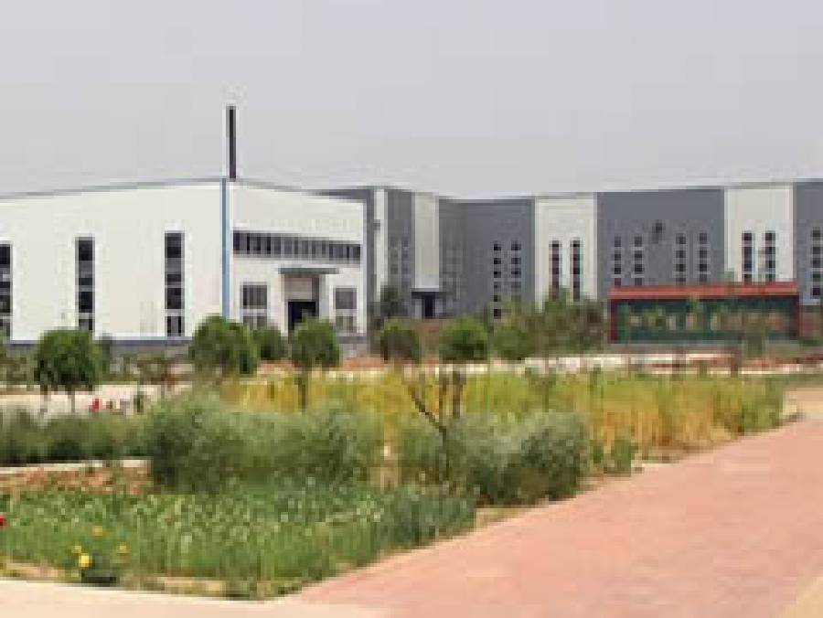 Several plants is surrounding the warehouse and workshop.